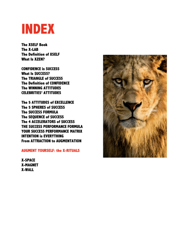 X-Self - eBook Index